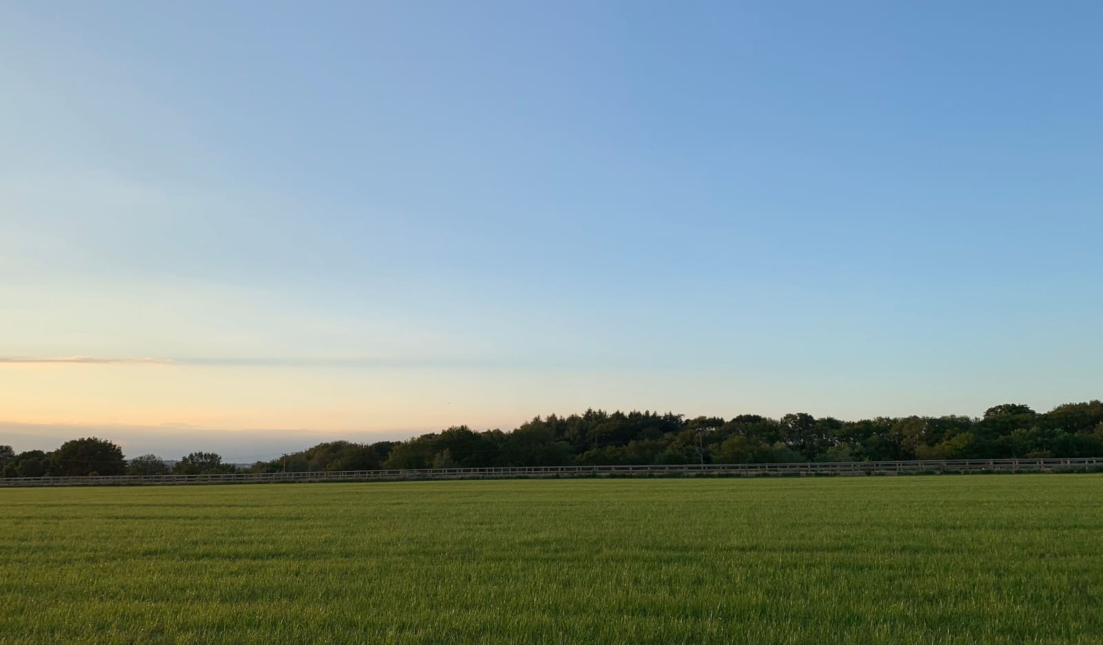 A wide flat green field bounded by a pale post and rail fence, with a dark treeline and a large pale sky turning gold at dusk.